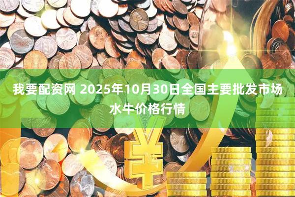 我要配资网 2025年10月30日全国主要批发市场水牛价格行情